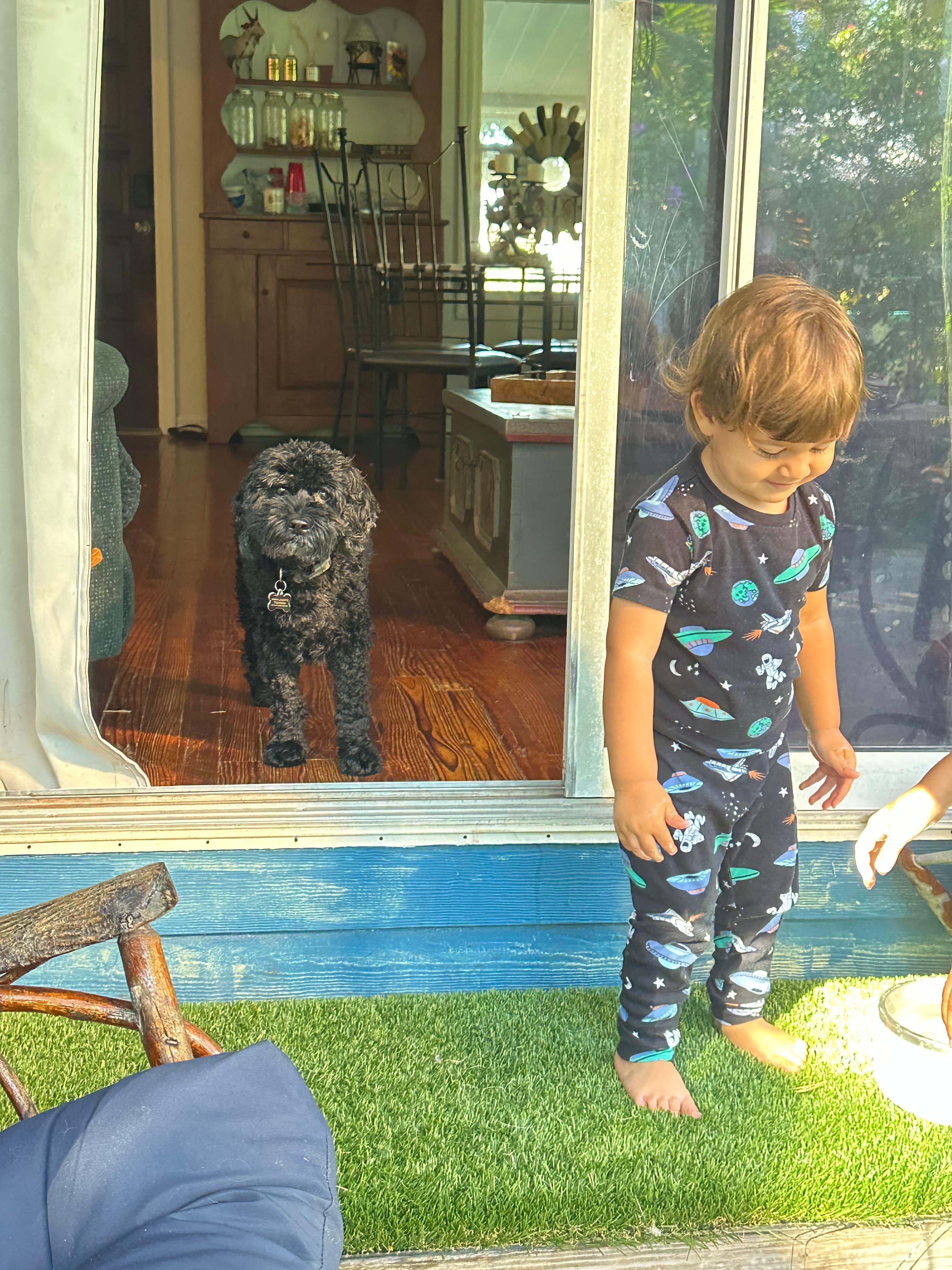 Happy dog relaxing on the farm